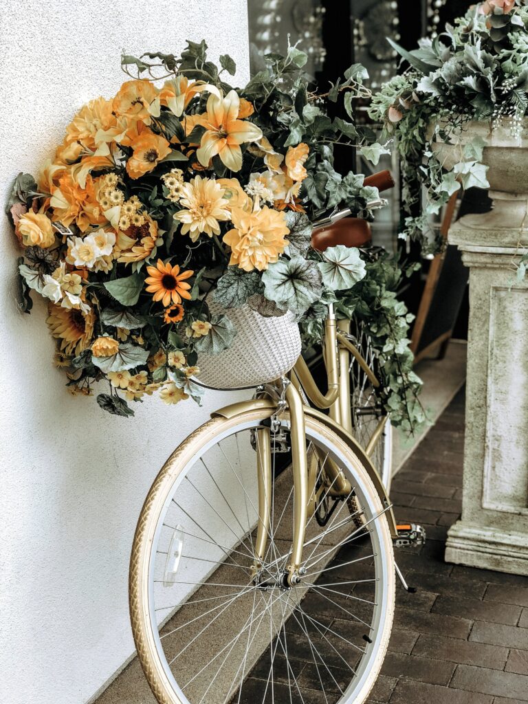 Vélo - Wedding planner Mayenne